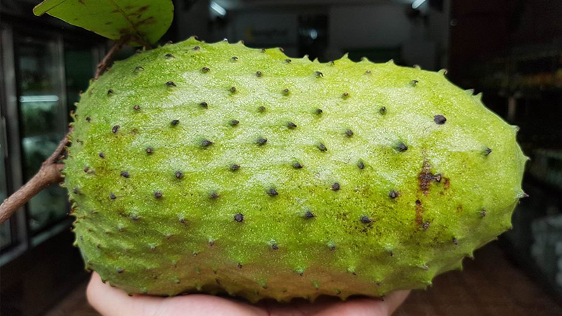 mẹo chọn mãng cầu