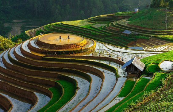 Mù Cang Chải mùa nước đổ