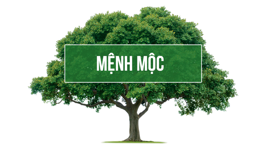 màu xanh lá kết hợp với màu gì